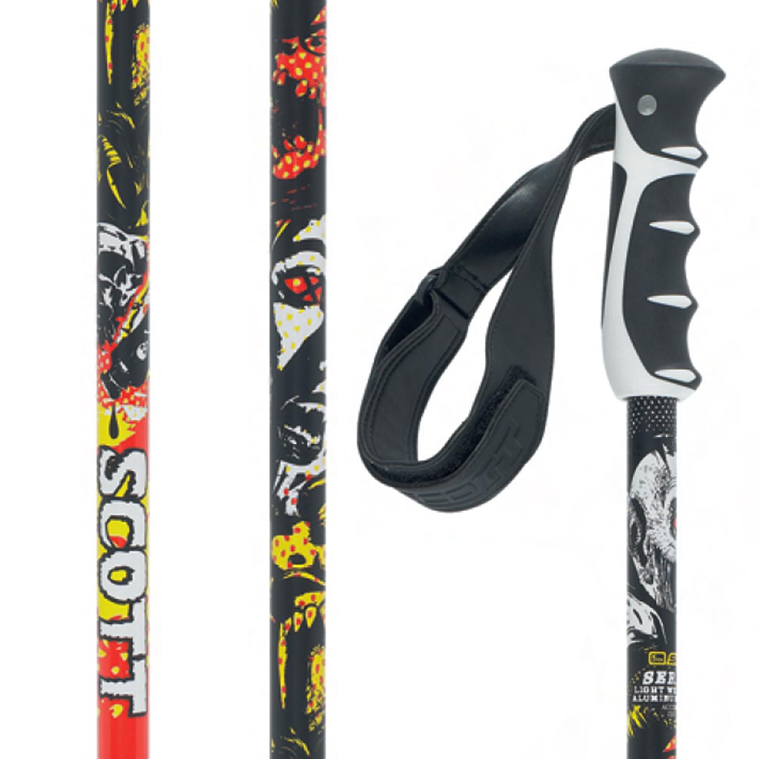 Scott Punisher Ski Poles 2010 evo outlet