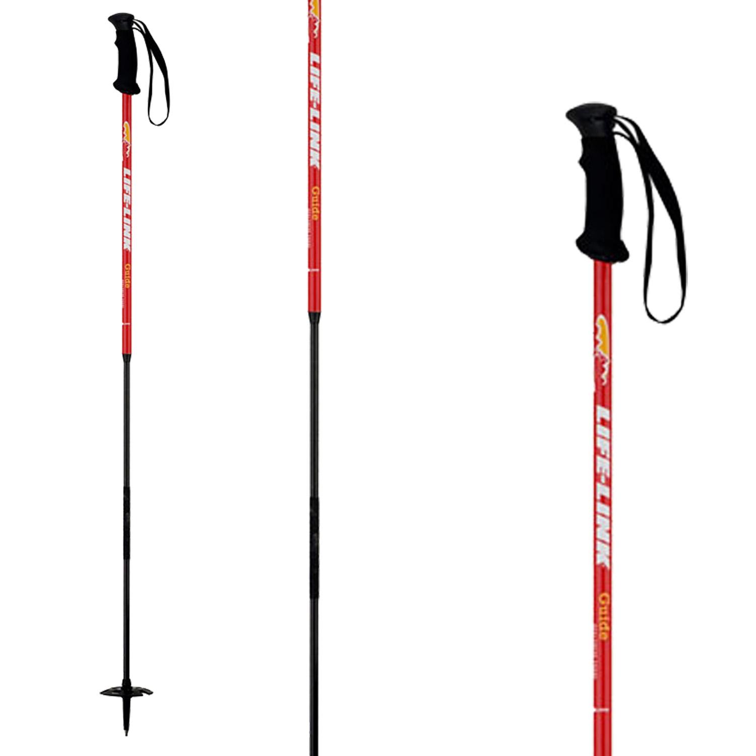 Life Link Guide Adjustable Ski Poles 2010 evo outlet