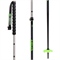 Armada AK Adjustable Ski Poles 2021 Evo