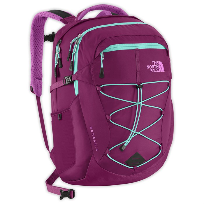 delsey paris clavel hardside expandable luggage