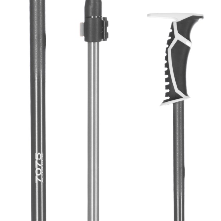 bca ski pole