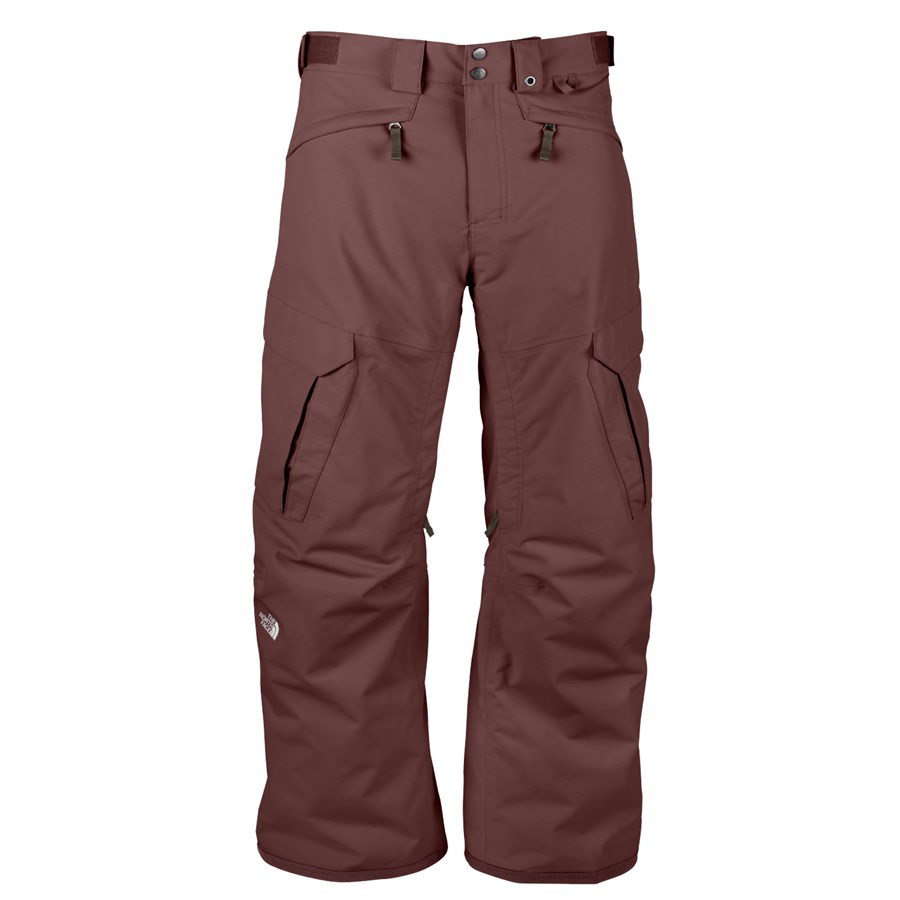 cargo pants the north face