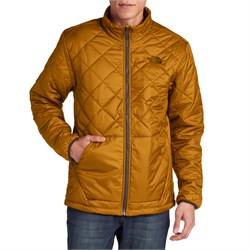 the north face men's cervas vest