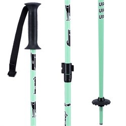 retractable ski pole