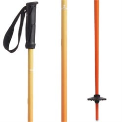 evo Merge Ski Poles - Used