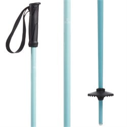 evo Merge Ski Poles 2025