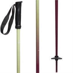 evo Merge Ski Poles