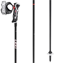 ski poles 46