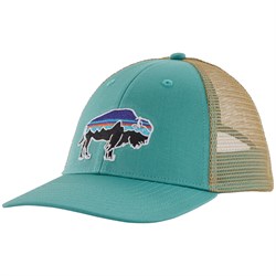 patagonia fitted hat