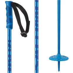 Salomon Hacker Ski Poles 2025