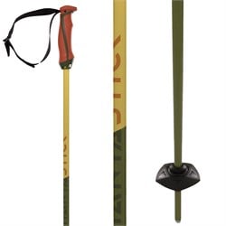 Völkl Phantastick 18mm Ski Poles 2025