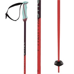 Völkl Phantastick 18mm Ski Poles 2025