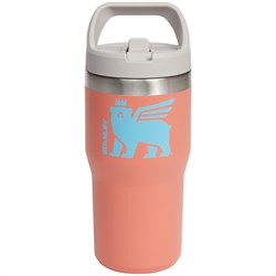 Stanley The IceFlow Flip Straw 20oz Tumbler