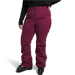 The North Face Freedom Stretch Plus Pants - Women's