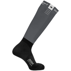 Dissent IQ Comfort Targeted Cushion Socks