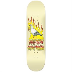 Anti Hero Grant Pigeon Vision 8.25 Skateboard Deck