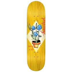 Krooked Knox Blue Flowers 8.5 Skateboard Deck