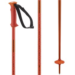 Salomon Polar Ski Poles 2025