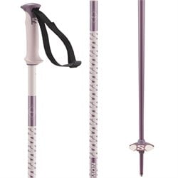 Salomon Polar Ski Poles 2025