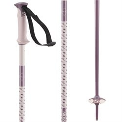 Salomon Polar Ski Poles 2026