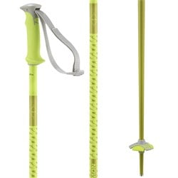 Salomon Polar Ski Poles 2025