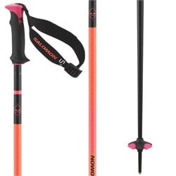 Salomon Polar Pro S3 Ski Poles 2025