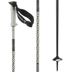 Salomon Polar Pro S3 Ski Poles 2025