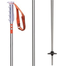 Season Primer Ski Poles 2025