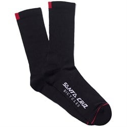 Santa Cruz Ride Bike Socks