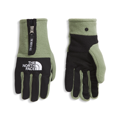 The North Face Denali Etip Gloves