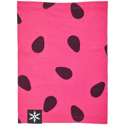 Airblaster Ninja Turtleneck Gaiter