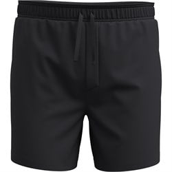 Smartwool Active Lined 5