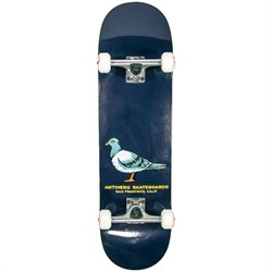 Anti Hero Pigeon DLX 8.5 Skateboard Complete