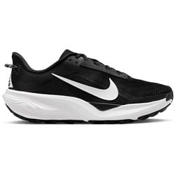 Nike ACG Pegasus Shoes - Men's