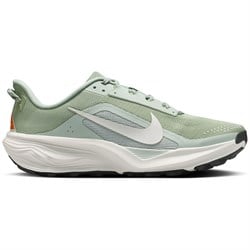 Nike ACG Pegasus Shoes - Men's