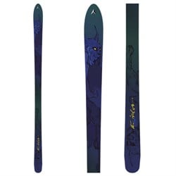 dynastar-twister-skis-2006-.jpg