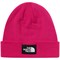 Fuschia Pink