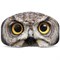 Optics Owl