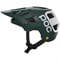 Pargasite Green Matte/Hydrogen White Matte