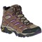 Bracken/Purple