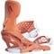 False ? '' : Deep Coral