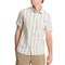 False ? '' : Stripe Seafoam