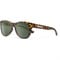 False ? '' : Matte Yellow Tortoise/Polarized Gray Green