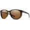 Ak Matte Forest Tortoise/ChromaPop Polarized Brown