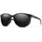 Matte Black/ChromaPop Polarized Black
