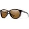 Tortoise/ChromaPop Polarized Brown