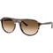 False ? '' : Havana Yellow Turtle/Clear Gradient Brown