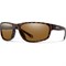 False ? '' : Matte Tortoise/ChromaPop Polarized Brown