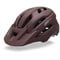False ? '' : Matte Dark Maroon
