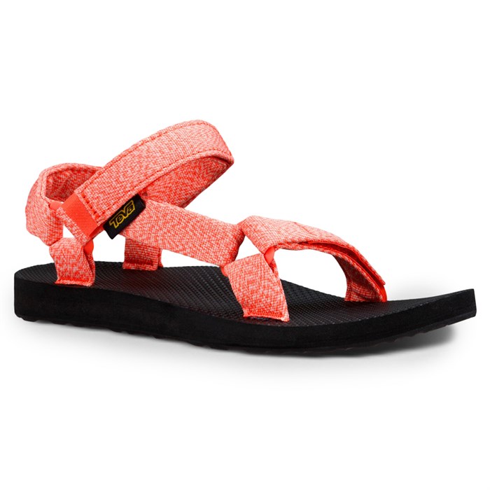 coral tevas